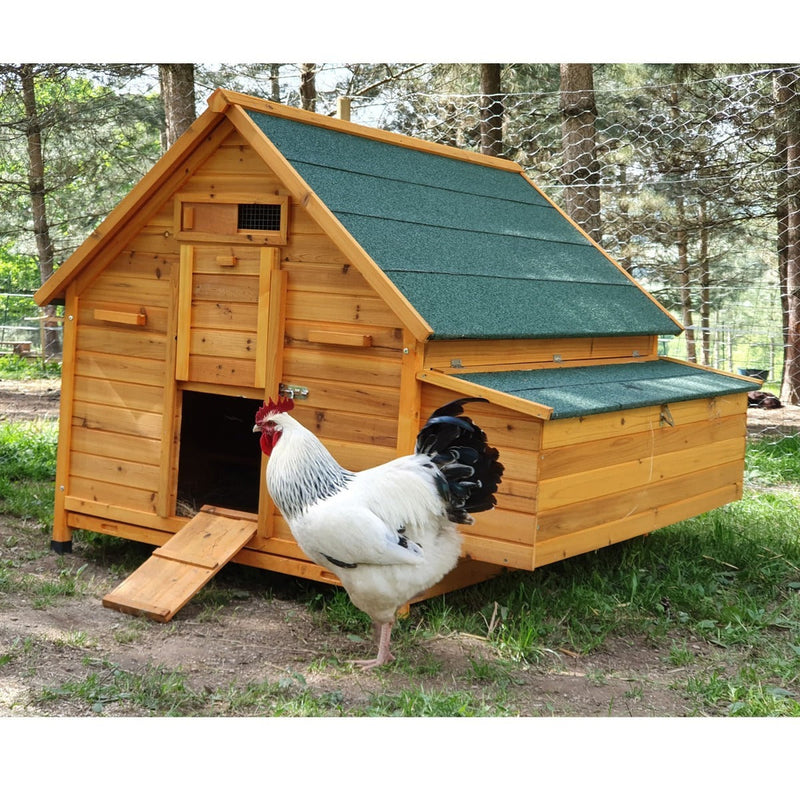 Großer Hühnerstall Bassette XXL 15 bis 18 Hühner grünes Dach