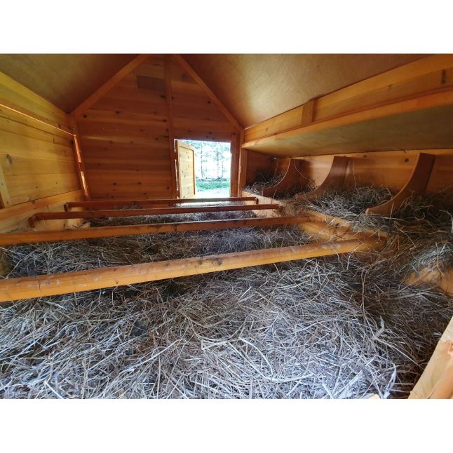 Großer Hühnerstall Bassette XXL 15 bis 18 Hühner grünes Dach