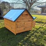 Hühnerstall Bassette XXL 15 bis 18 Hühner Blechdach