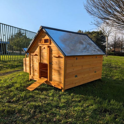 Hühnerstall Bassette XXL 15 bis 18 Hühner Blechdach