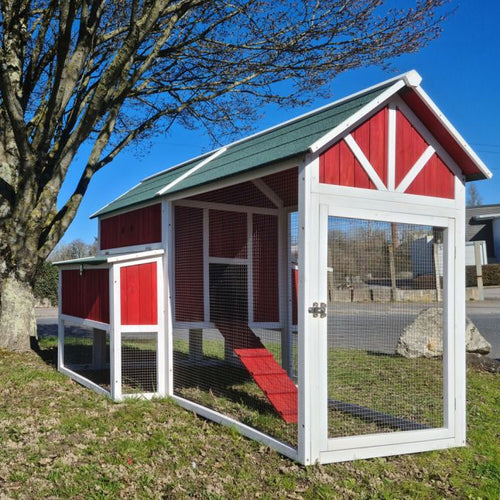 Hühnerstall Deluxe Rot grünes Schindeldach 10 bis 12 Hühner V3.0
