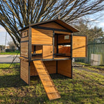 Hühnerstall Vorwerk Schindeldach 10 bis 12 Hühner