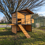 Hühnerstall Vorwerk Schindeldach 10 bis 12 Hühner